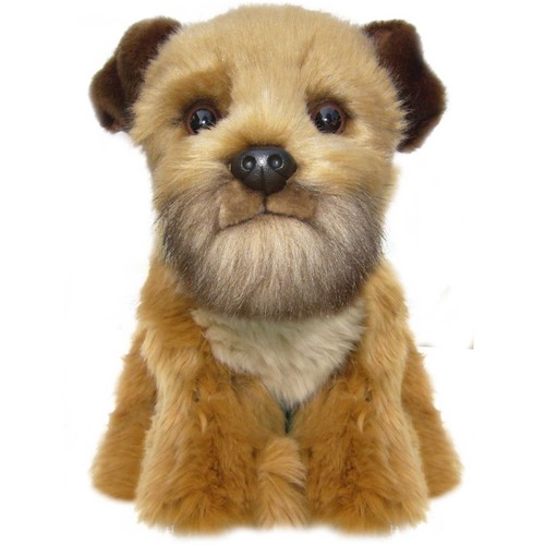 Border terrier plüschtier - border,