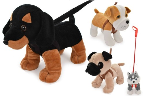 Stehende hunde der leine - der,