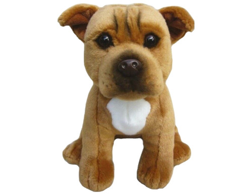Staffordshire bullterrier rot - bullterrier,