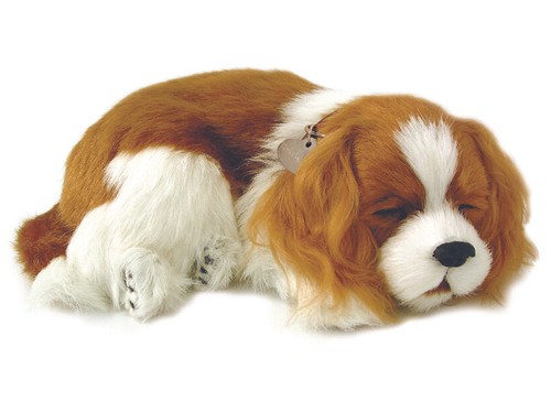 Precious petzzz breathing - precious,