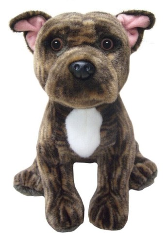 Staffordshire bullterrier - staffordshire,