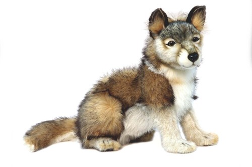 Hansa sitzender wolf junges - wolf,