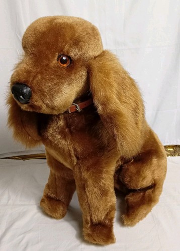 Golden cocker spaniel - golden,