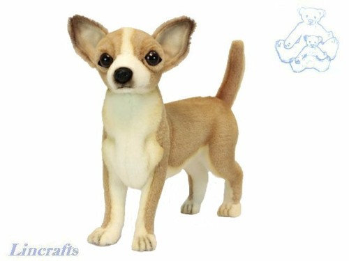 Hansa stehender chihuahua 6295 - chihuahua,