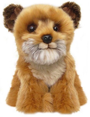 Zoll border terrier teddy - border,