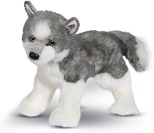 Douglas sasha husky hund - douglas,