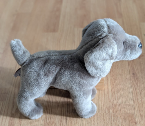 Douglas cassie weimaraner gray - douglas,