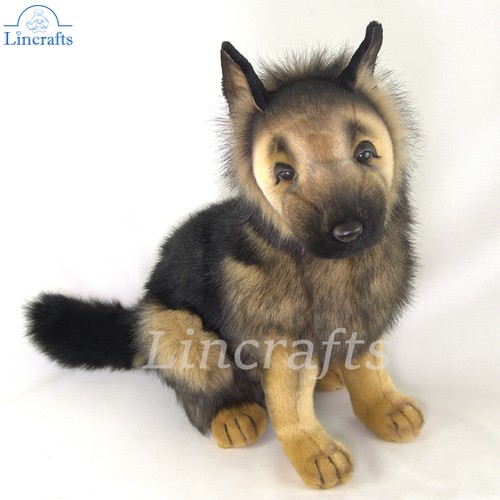 Hansa deutscher schäferhund - hansa,