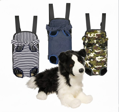 Douglas chase border collie - border,